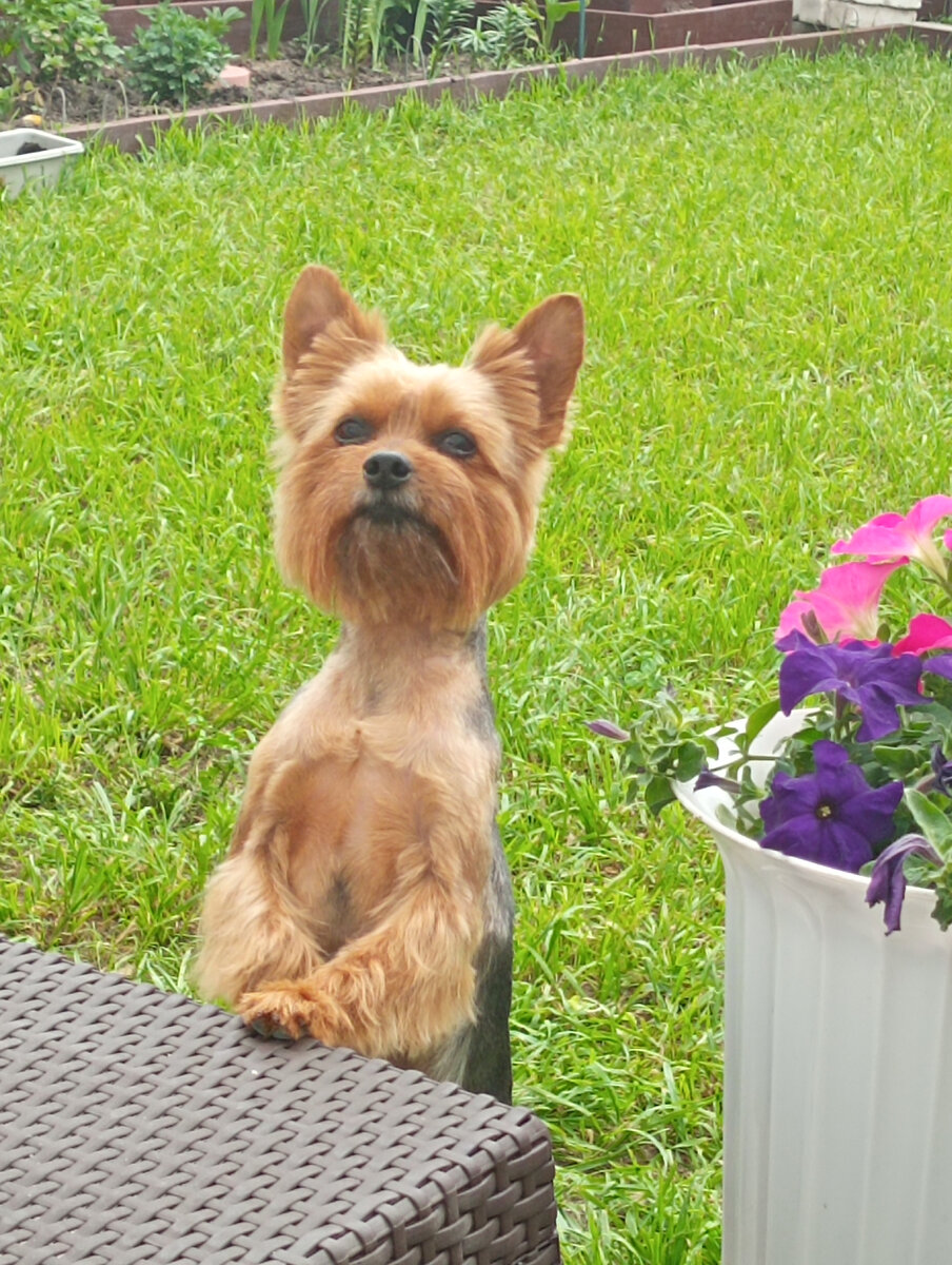 фото из личного архива