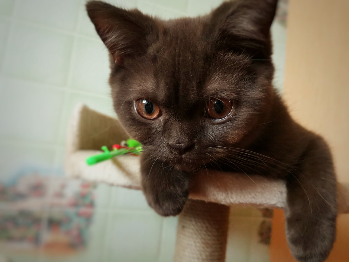 Что бы такого сделать плохого