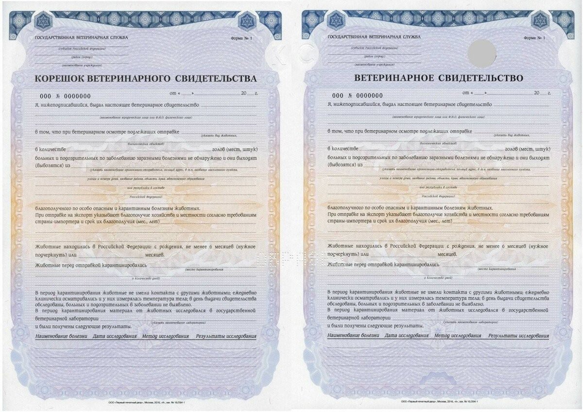 образец формы№5, может отличаться.