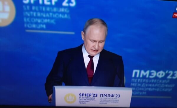 Владимир Путин на пленарном заседании ПМЭФ