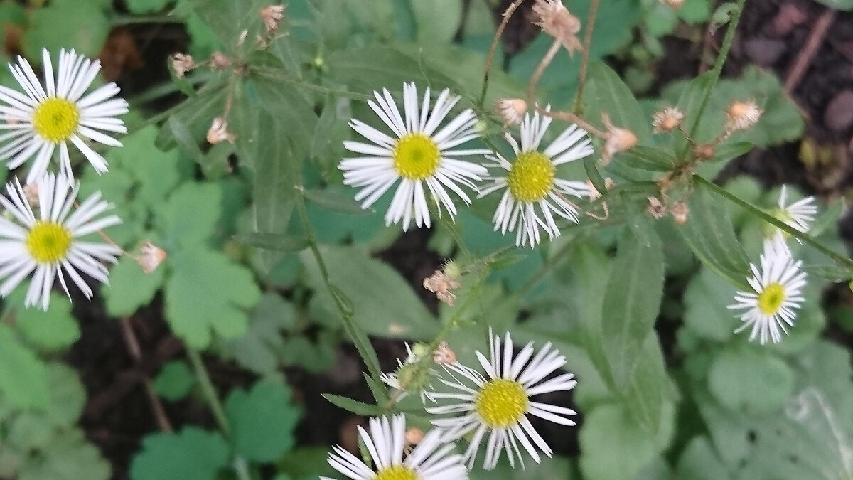 На даче. Фотография из личного архива автора 