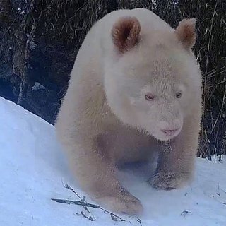 *изображение из Яндекс.Картинки.