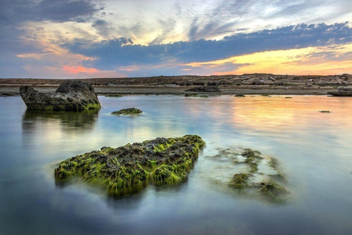 виды каспийского моря фото