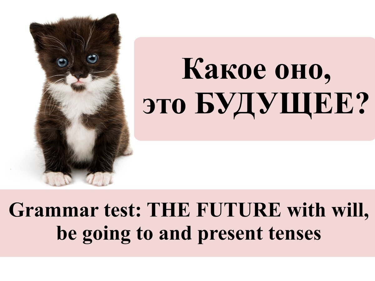 Grammar test: THE FUTURE with will, be going to and present tenses |  English Cats | Дзен