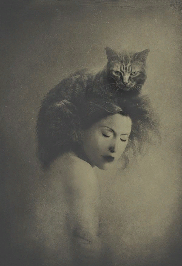 �������� - ������ ��������