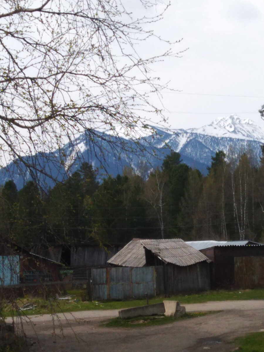 Выдрино