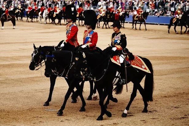 Принцесса Анна во время церемонии Trooping the Colour, посвященной первому официальному дню рождения короля Чарльза с тех пор, как он стал сувереном. Фото PA