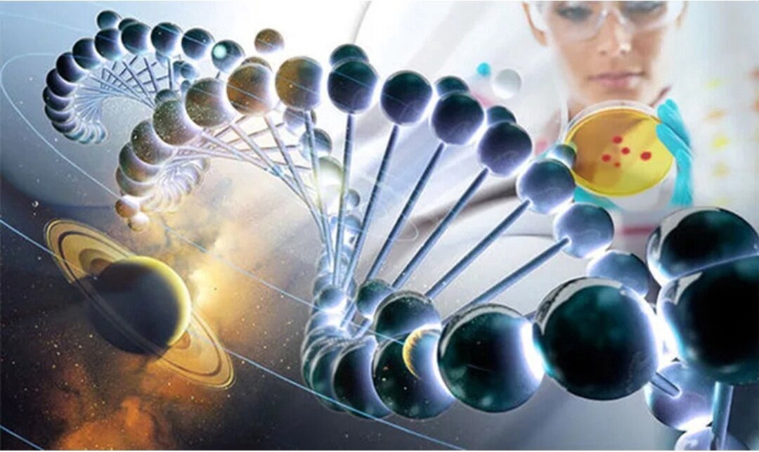 источник яндекс картинки