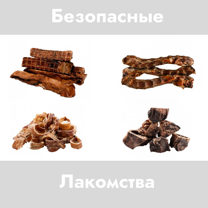 Опасность белых лакомств для собак