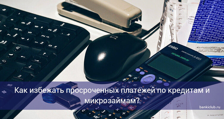 Фото: pixabay.com