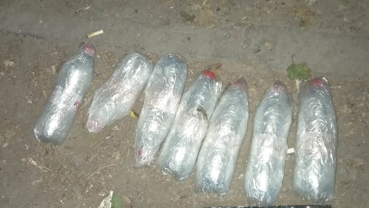     Охранник колонии в Новочеркасске получил ранение, пытаясь задержать преступника, рассказали в ГУФСИН по Ростовской области.