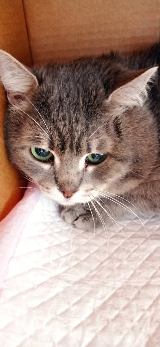 личное фото.