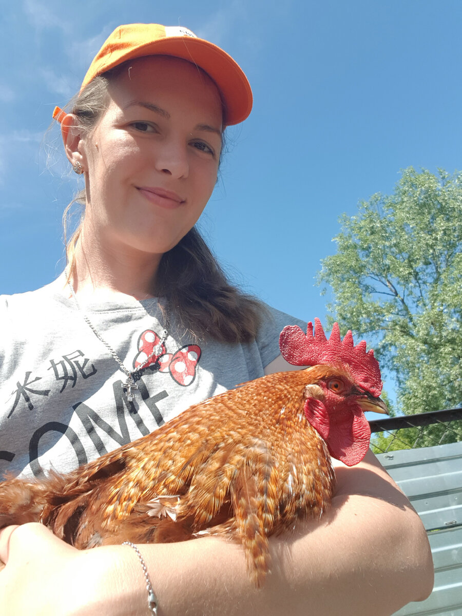 Почти ручной уже