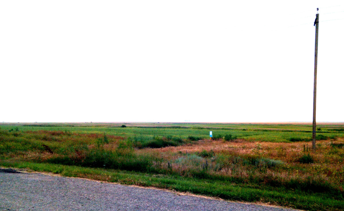 Поле, на котором я пас овец.