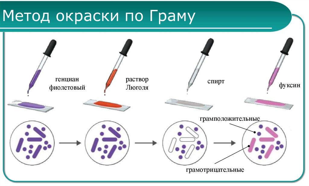 Источник: https://ppt-online.org/268907