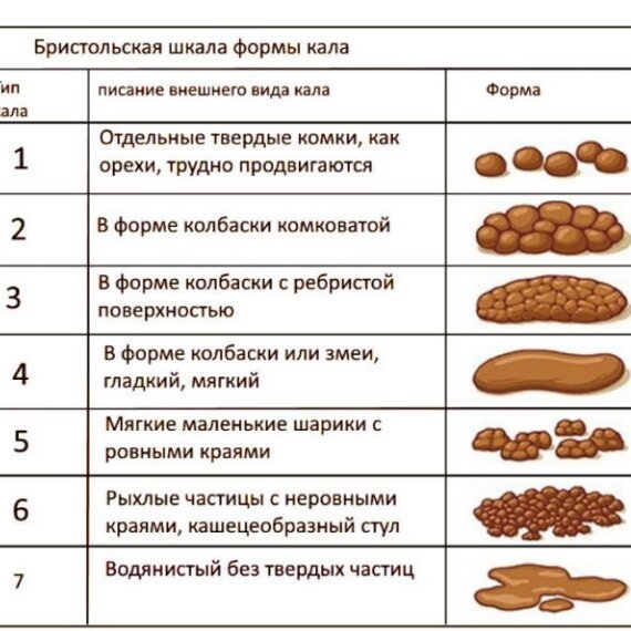 Бристольская шкала консистенции кала