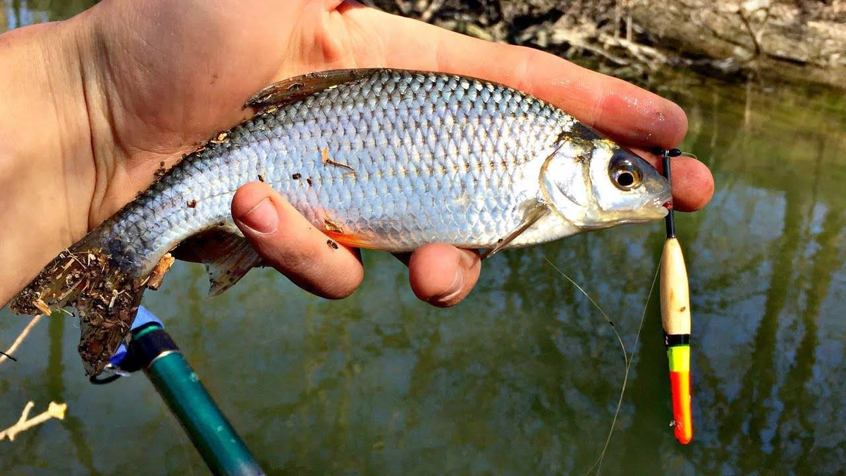 Фото: Яндекс.Картинки