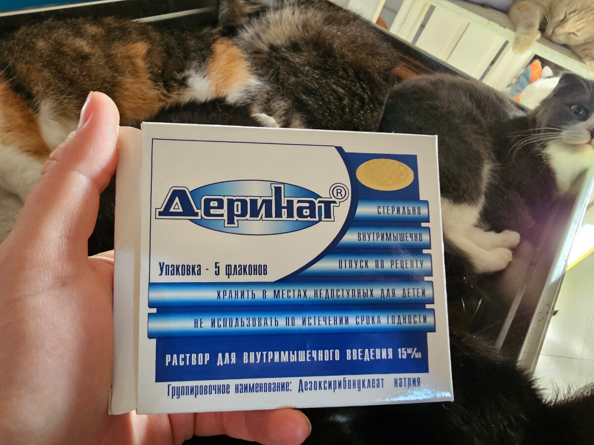 Фото автора. Вот такой препарат нам нужен инфекционный ДЕРИНАТ. температурный режим нужен для перевозки и хранения.
