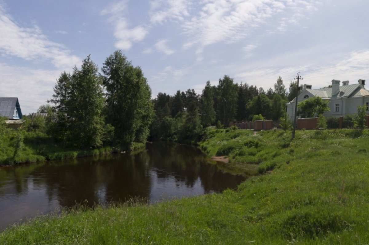    После шквального ночного ветра обесточена часть посёлка Вырица в Ленобласти