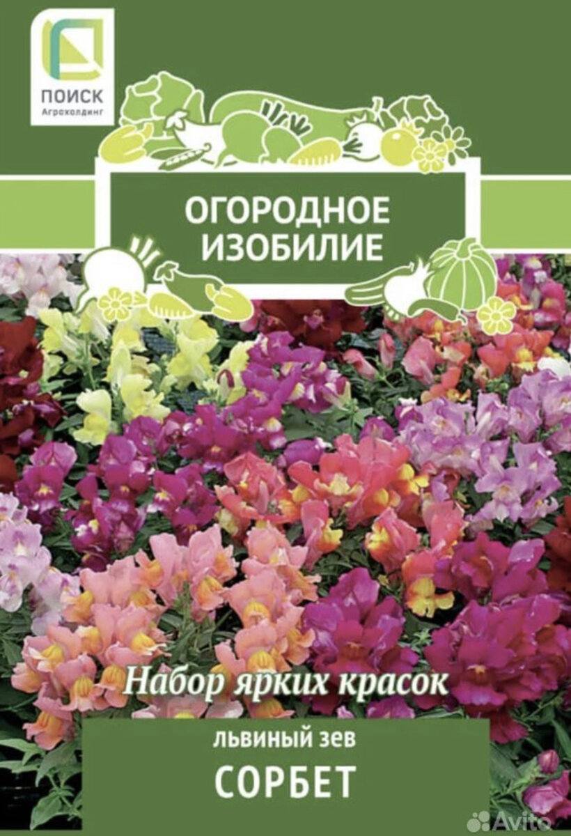 Посеяла такие семена 