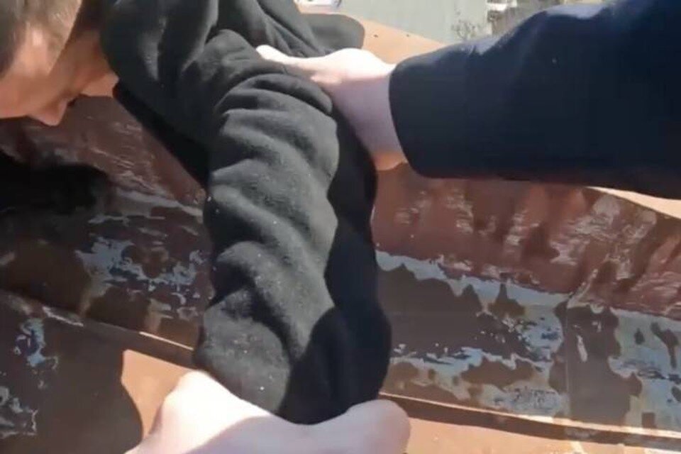     Сотрудники полиции спасли в Петербурге парня от падения с крыши / Фото: ГУ МВД по СПб и ЛО