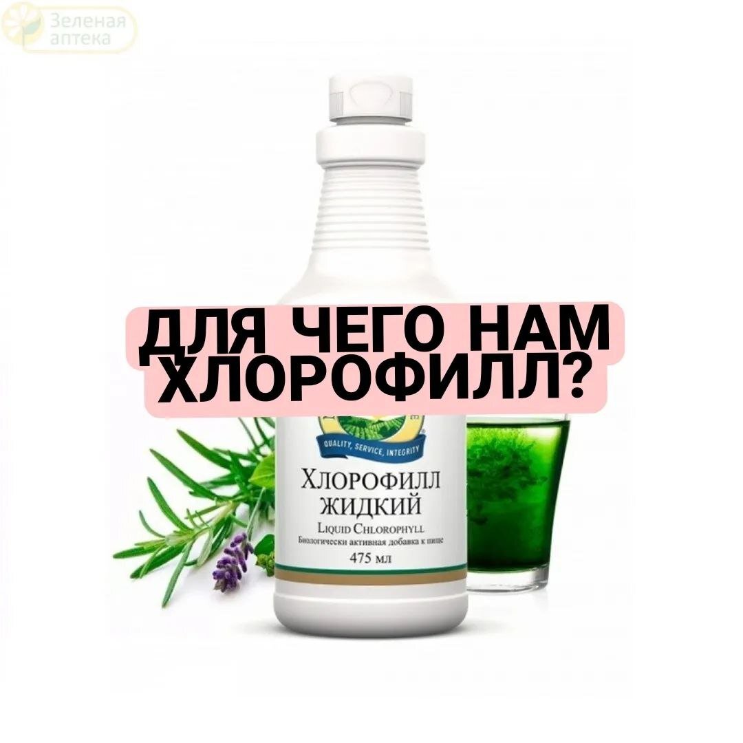 Если в общем, то этот продукт для здоровья, но у каждого свои тонкости в организме, и для чего же все таки нам Хлорофилл? ⠀
Это напиток богинь
⠀
способствует обновлению тканей и быстрому заживлению ран
⠀
стимулирует иммунную систему организма (меньше простуд)
⠀
ускоряет процессы регенерации
⠀
обладает антибактериальным действием
⠀
Хлорофилл избавляет от изжоги, запоров и других проблемок с желудочно-кишечным трактом, кислая среда в организме - приводит к воспалительным процессам, а Хлорофилл наоборот ощелачивает
⠀
Кошки и собаки лечатся травкой, а животные плохого не посоветуют
⠀
Постоянный код на скидку -30%, ID номер 7280021 на всю продукцию NSP для здоровья
⠀
Для консультации пишите в личные сообщения, помогу также с заказом и регистрацией
