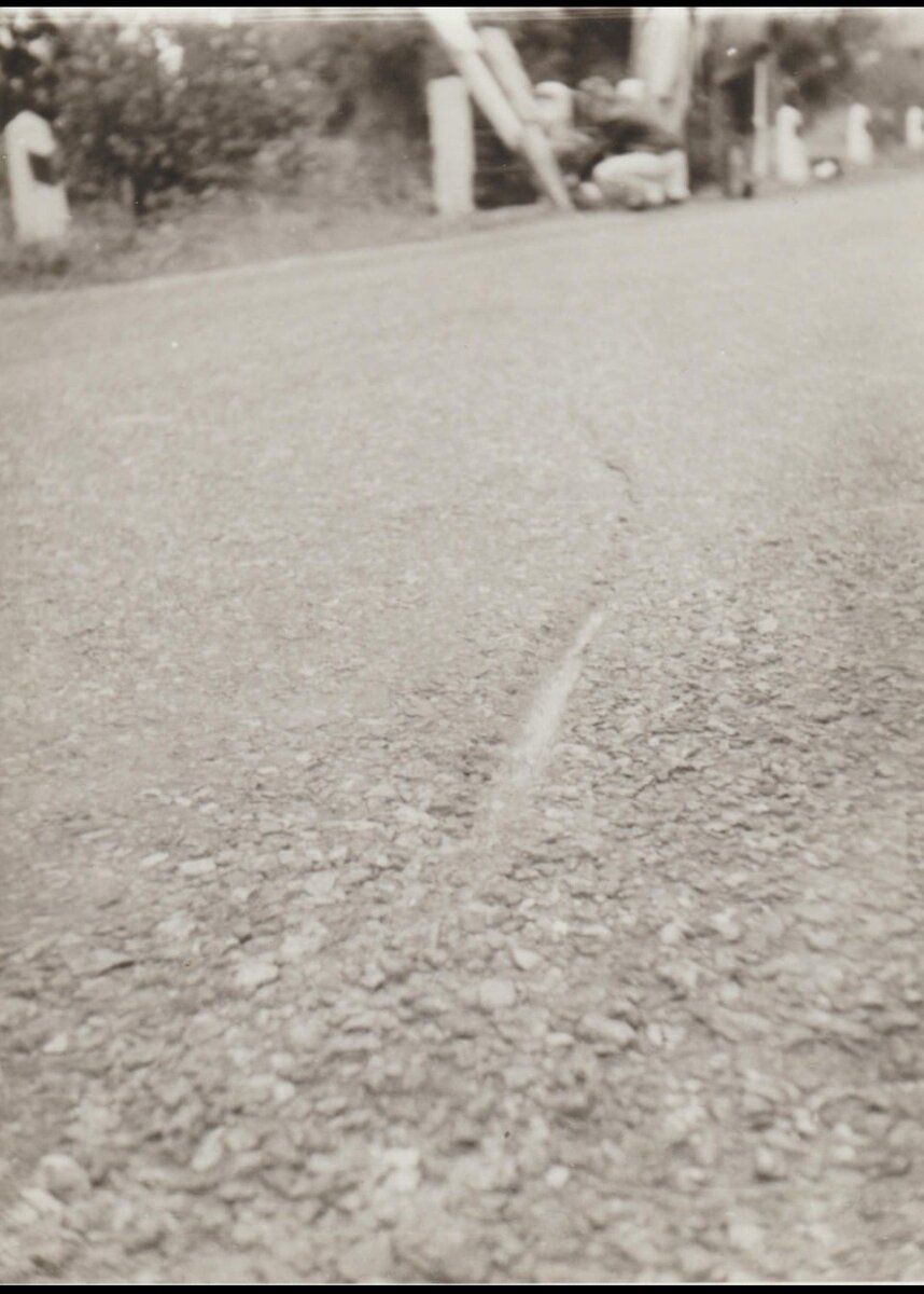 фото  из архива В. Гершинкова