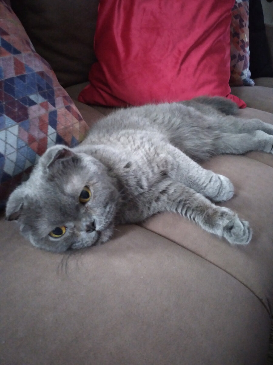 Максимум-ляжет рядом.