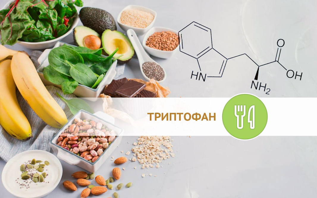 Триптофан в продуктах. Продукты богатые триптофаном. Триптофан источники в пище. Продукты богатые триптофаном и серотонином.