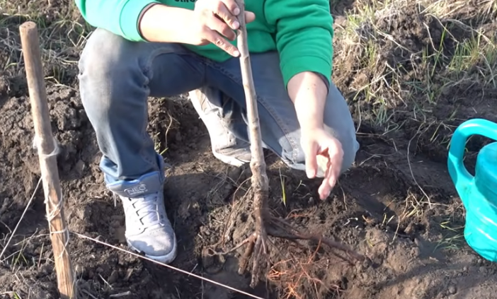 Выбор и подготовка места