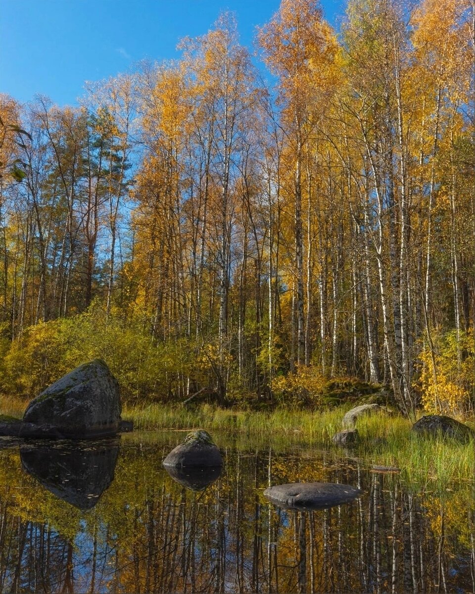 Карельский перешеек