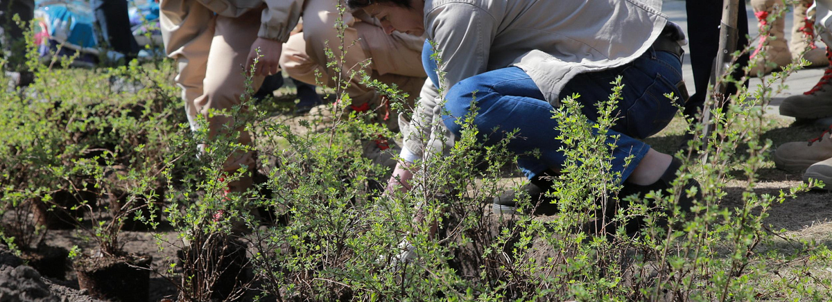 Фото: nsknews.info