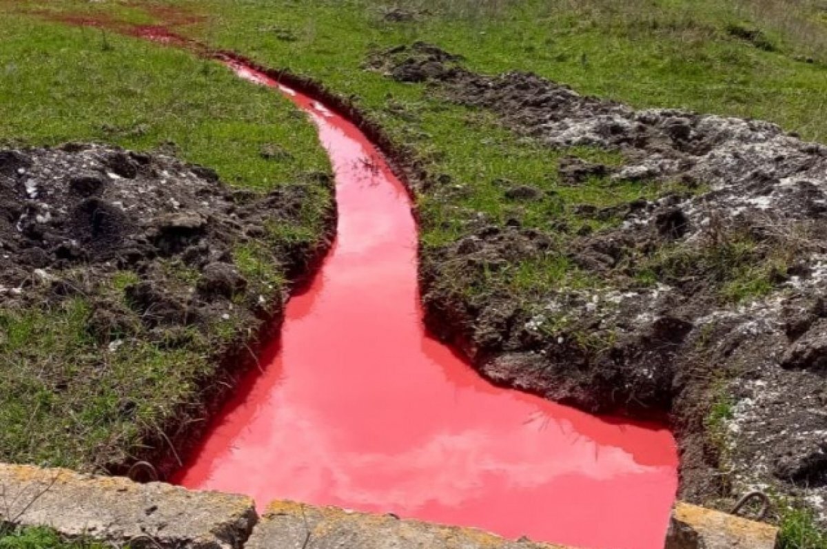    Власти Белгородской области назвали причину покраснения водоемов