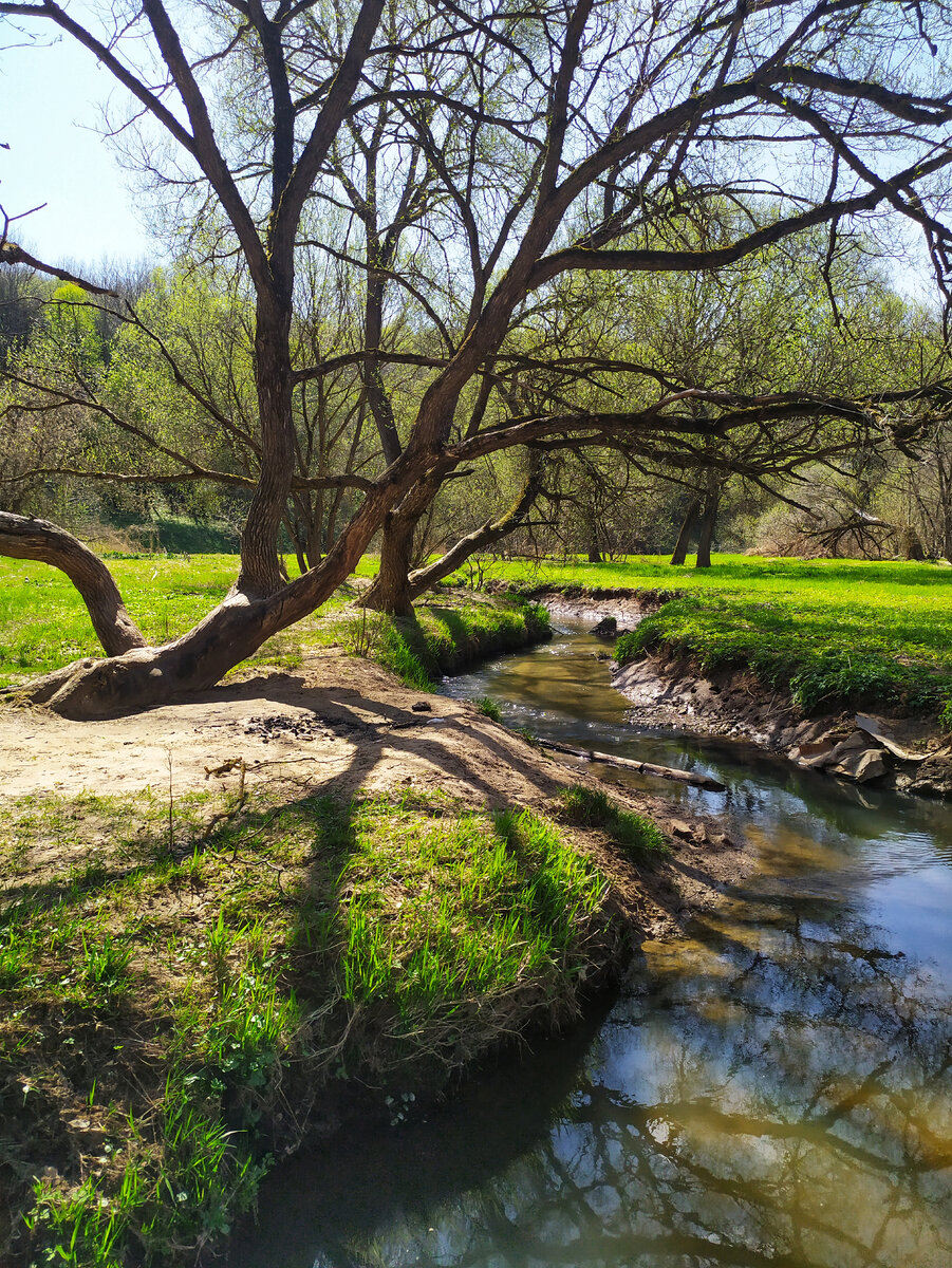 Такая интересная река.