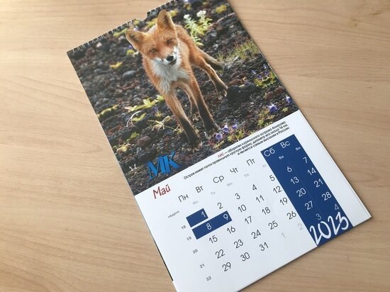     23 апреля: известные люди, которые родились в этот день