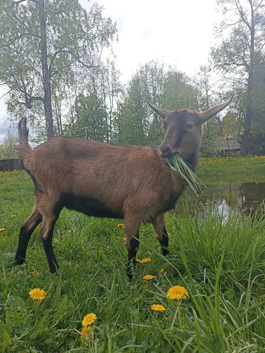 Иногда лучше жевать, чем говорить)) 