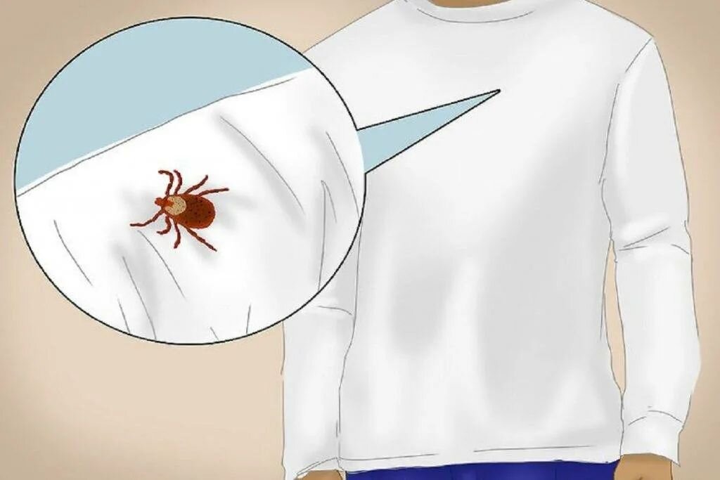 Лучше всего выбирать светлую однотонную одежду 