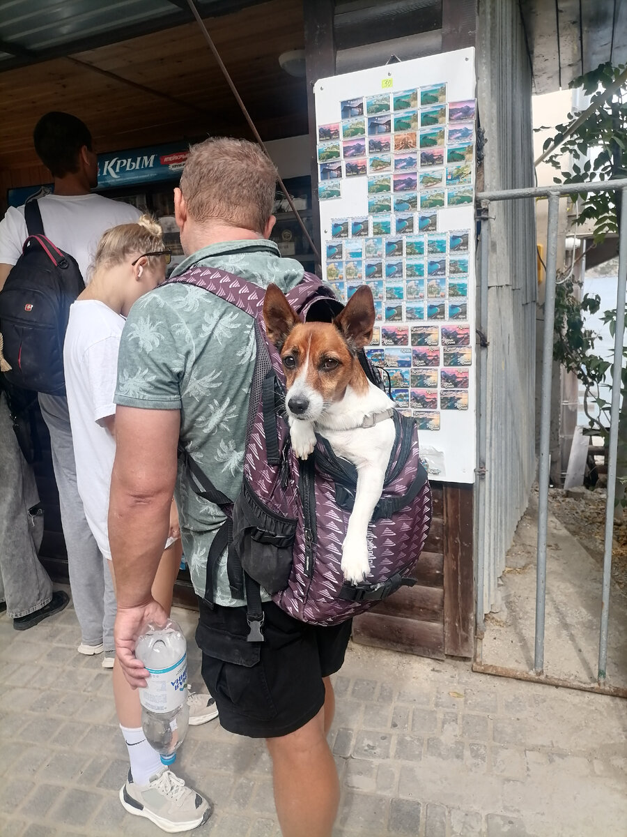 Эйй, псс.. погнали со мной на тропу Голицына)