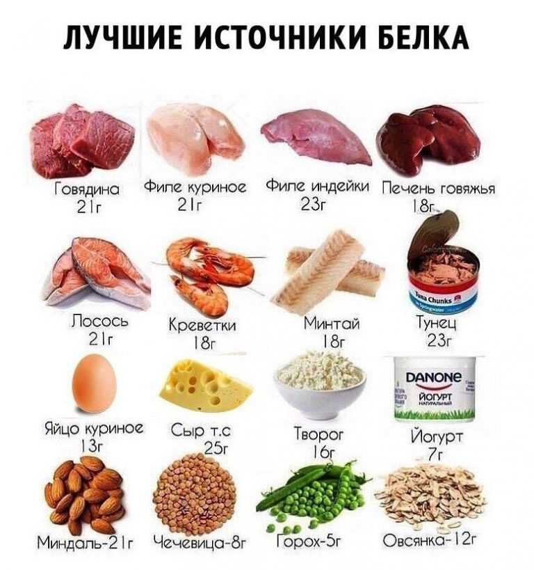 В каких продуктах содержится много белка