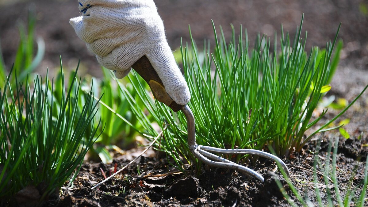    На даче© РИА Новости . Кирилл Каллиников