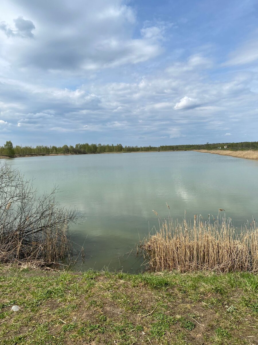 Платный пруд для рыбалки.