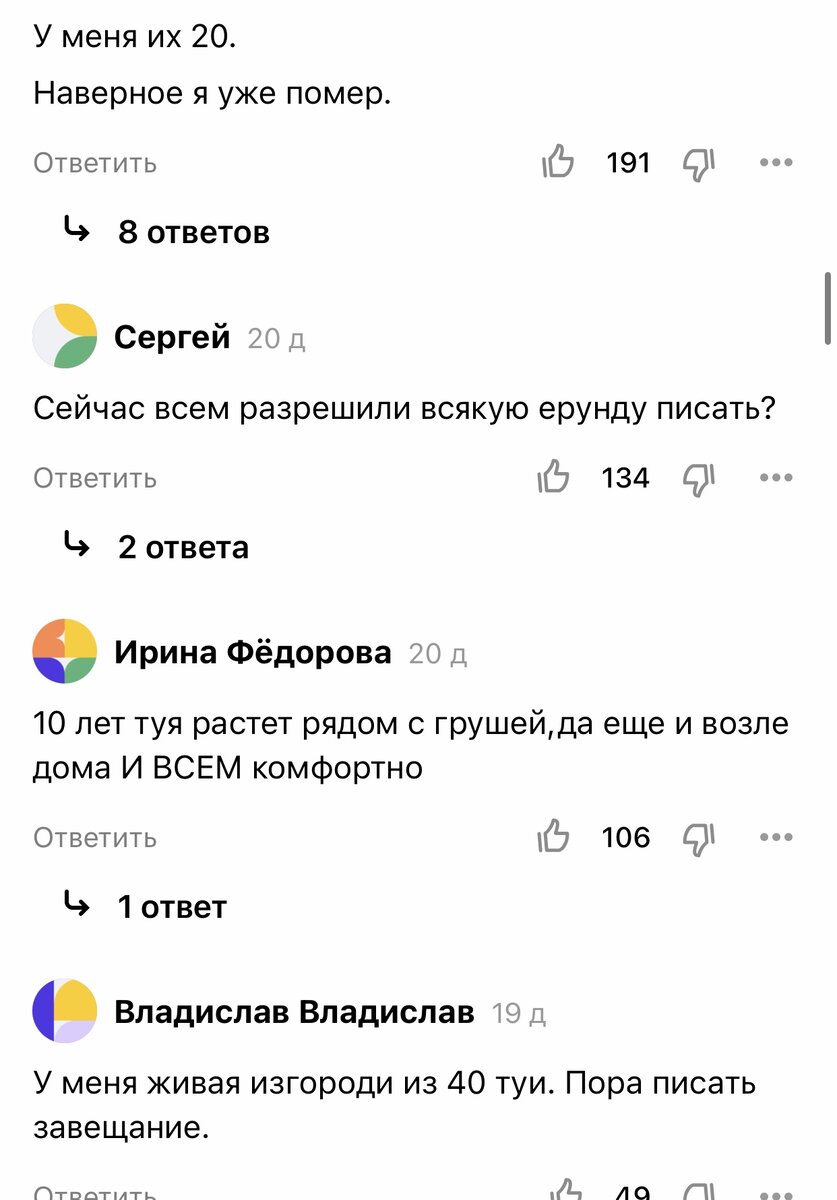 Почему нельзя сажать туи у себя во дворе | Безнадёжный романтик | Дзен