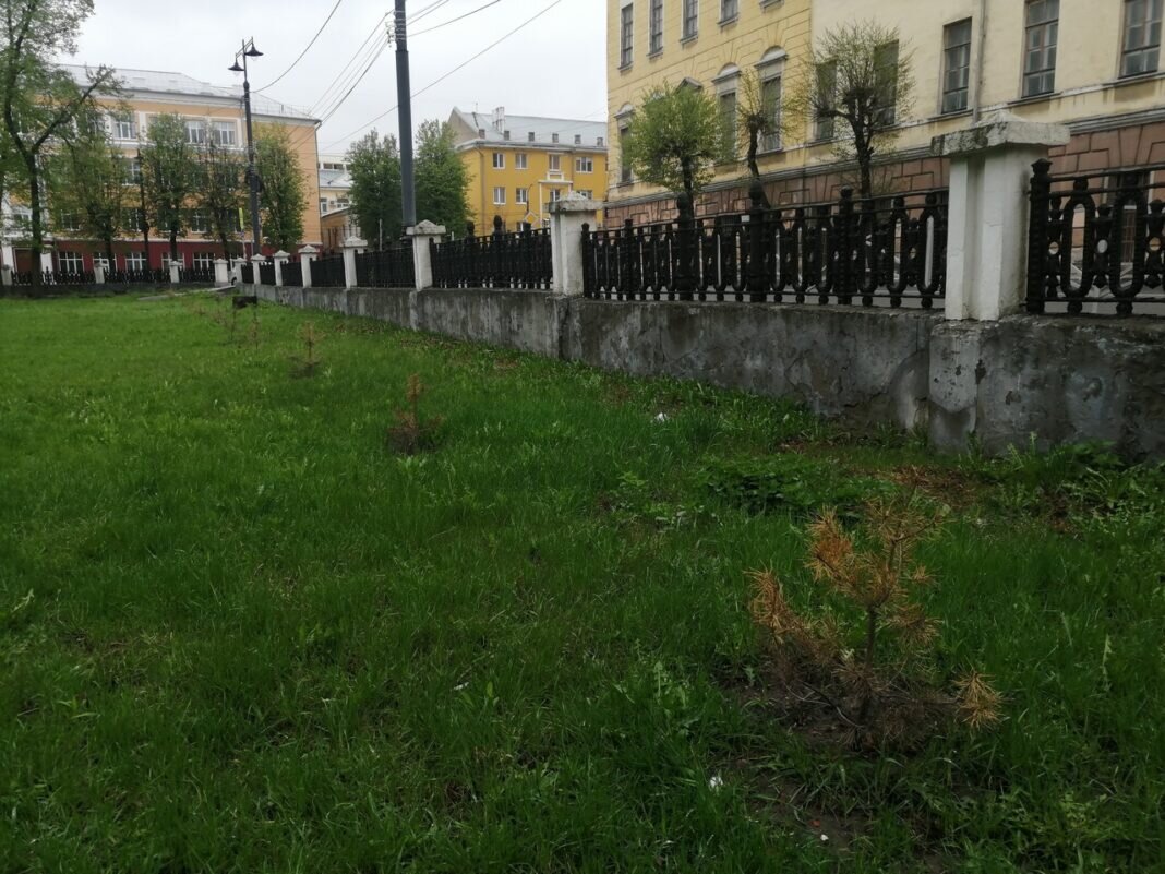    Фото Татьяны Картышковой в группе Рязанский формат ВКонтакте