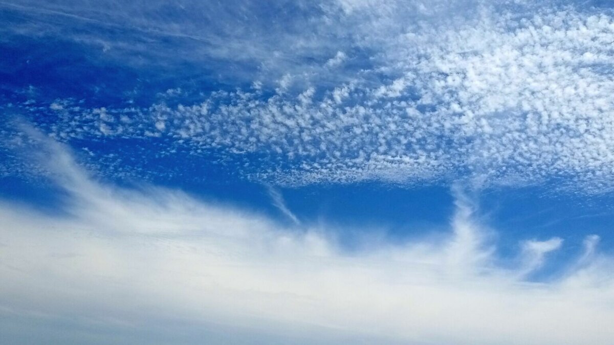     Самые интересные события вторника — в обзоре «Восток-Медиа»