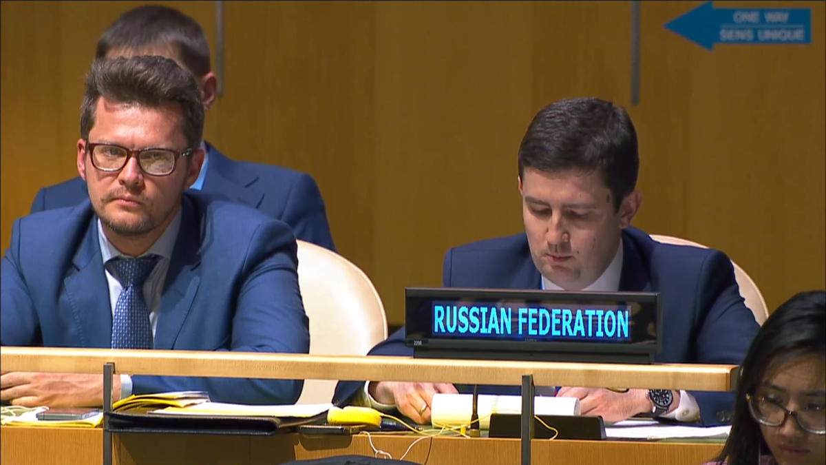    Представитель России Станислав Супруненко Кадр из видео: «Выступление С. М. Супруненко до голосования по параграфу рр9 резолюции "