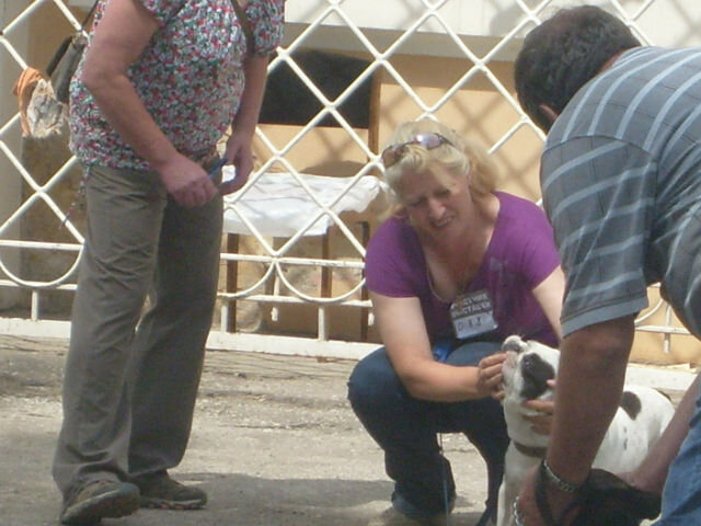 Мы с Тайсоном на выставке.