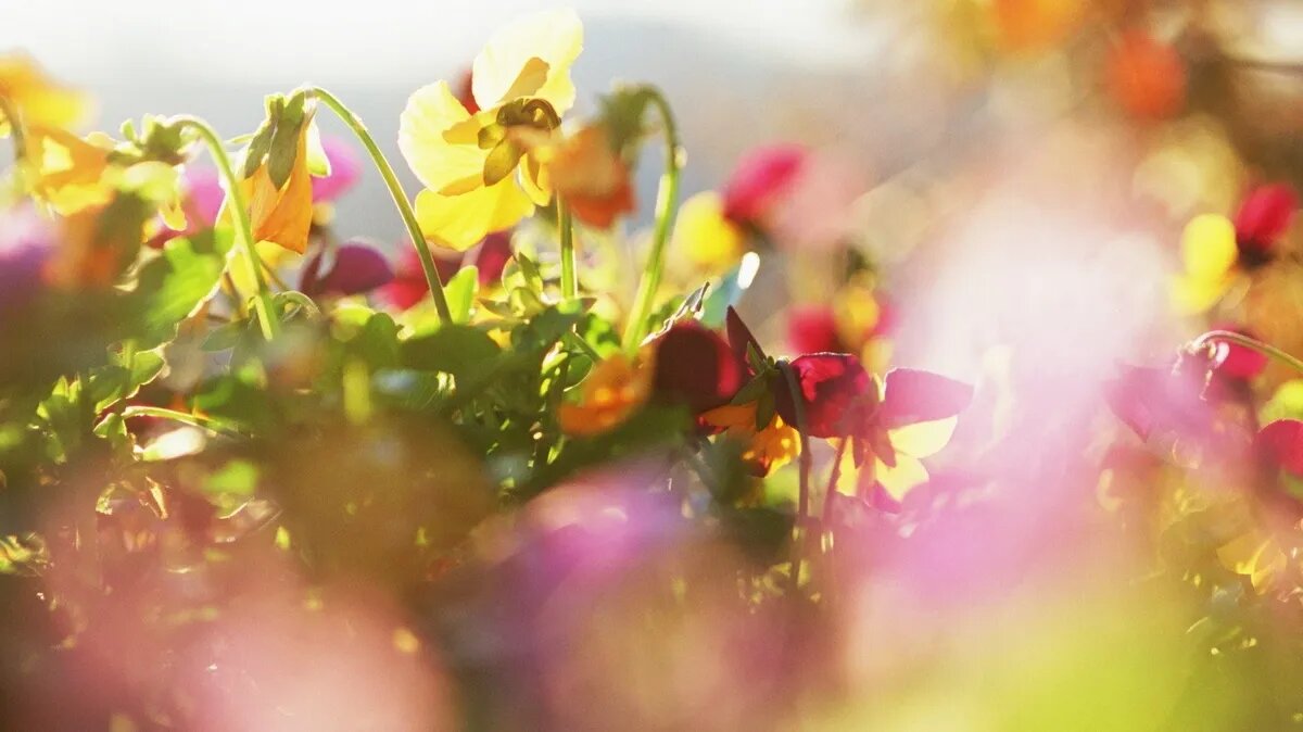 Магнитные бури мая принесут метеопатам неприятные сюрпризы. Фото: pxhere.com