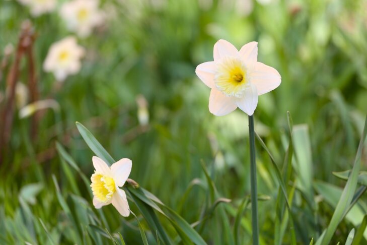    Фото из архива VN.ru