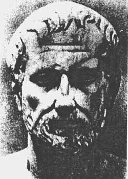 Древнегреческий философ Теофраст был не только отцом ботаники. Большое внимание в своих трудах он уделял влиянию внешней среды на живые организмы