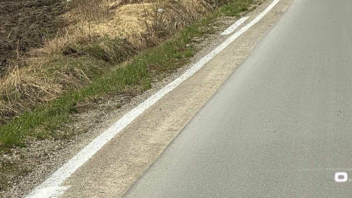     Необычный вид дорожной разметки появился в поселке Московский. Тюменские дорожники нанесли рисунок на обочину автомобильной дорогу, оставив нетронутым краской дорожное полотно.